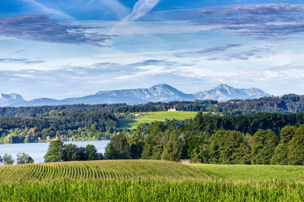 Landhaus Tanner Waging am See Exteriör bild
